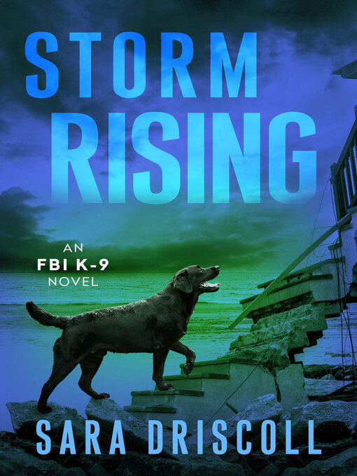 Title details for Storm Rising by Sara Driscoll - Available